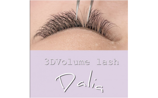 ふるさとチョイス ｄａｌｉａ ｅｙｅｌａｓｈ ａｎｄ ｅｙｅｂｒｏｗ ｓａｌｏｎのお礼の品を見つける ふるさと納税サイト