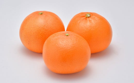 熊本県産 清見 約3kg 約7〜9玉 柑橘 みかん 蜜柑 フルーツ 果物 くだもの [2025年3月下旬発送開始]