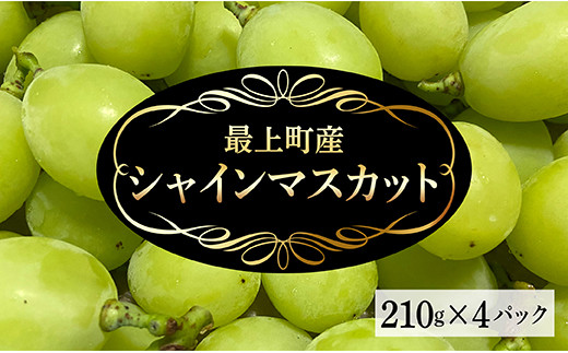 10月より値上げ予定】IF32005 最上町産【シャインマスカット】 485838