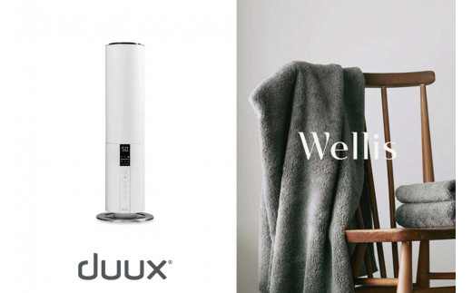 Wellis×Dyson Wellis Dyson Purifier Hot+Cool™空気清浄ファンヒーター