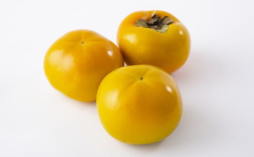 熊本県産太秋柿 約3kg