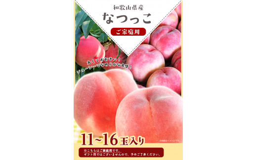 和歌山県産 なつっこ 11～16玉入り≪ご家庭用≫ 桃 モモ もも 株式会社松源《2024年7月中旬～8月上旬頃出荷》和歌山県 紀の川市