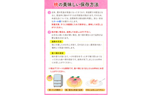 先行予約】桃 約2kg（6-9玉） 岸武青果株式会社《2024年6月末頃-8月末