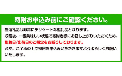 和歌山県産 なつっこ 11～15玉入り ≪赤秀≫ 桃 モモ もも 株式会社松源《2024年7月中旬～8月上旬頃出荷》和歌山県 紀の川市