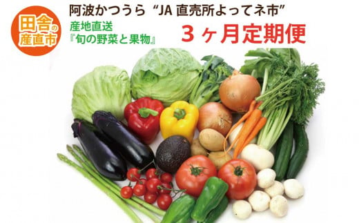 【定期便3回】阿波かつうら 農産物詰合わせ 782702 - 徳島県勝浦町