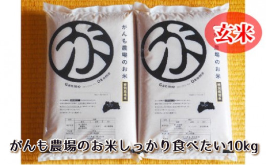 令和四年産 がんも農場のお米しっかり食べたい10kg 玄米 出荷開始 22年10月5日 23年9月22日 長野県佐久市 ふるさとチョイス ふるさと納税サイト