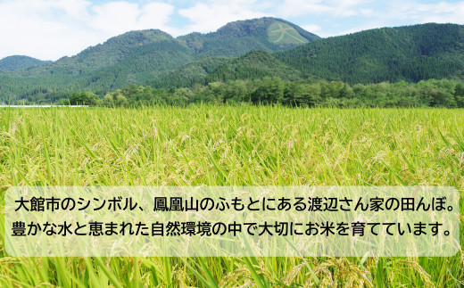 55P9006 【新米】【令和5年産】渡辺さん家のあきたこまち(精米)10kg