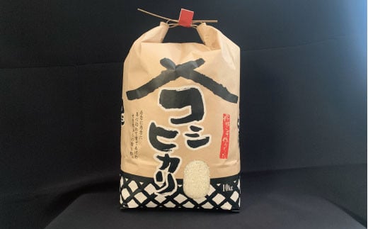 令和５年度米 笠間産コシヒカリ 10kg【6カ月定期便】