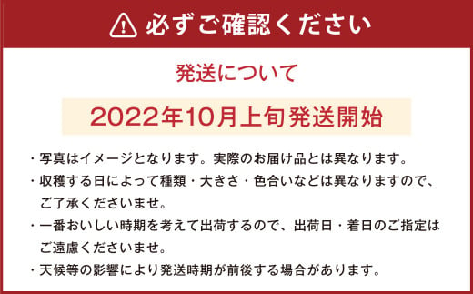 アイテムID:461928の画像7枚目