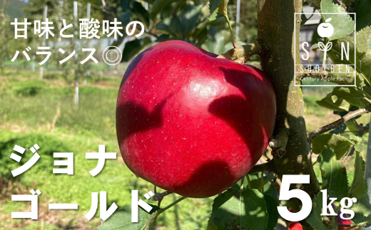【先行予約】松陽園の樹上完熟りんご「ジョナゴールド」5kg【2022年10月下旬～発送】