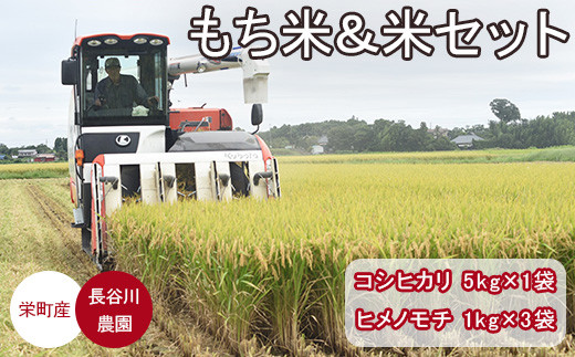 もち米ヒメノモチ3kg(1kg×3袋)+お米 コシヒカリ5kg 長谷川農園 栄町産 ちばエコ認定 | 栄町 ※沖縄・離島への配送不可 ※2025年10月中旬以降順次発送予定 25-5