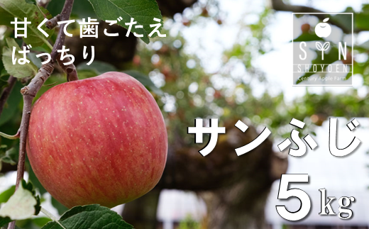 【先行予約】松陽園の樹上完熟りんご「サンふじ」5kg【2022年11月下旬～発送】