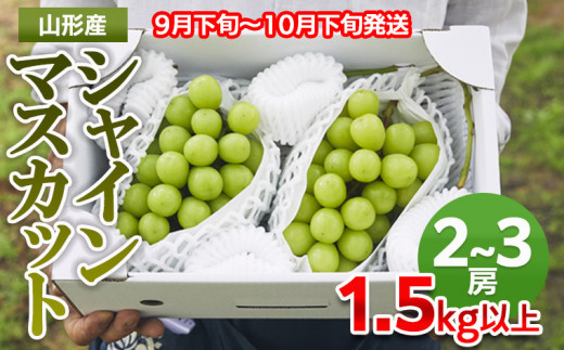 山形市産 シャインマスカット 秀1.5kg以上(2~3房)[前半] FZ22-331