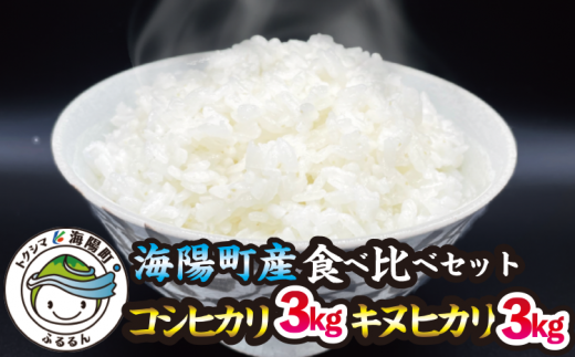 新米 コシヒカリ 5kg 海陽町産 こしひかり 米 お米 令和5年 - 徳島県