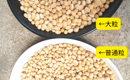 大粒と普通粒の比較です。粒あんを作る場合は、粒が残りやすい大粒をおすすめします。（別返礼品として普通粒もご紹介しています）
