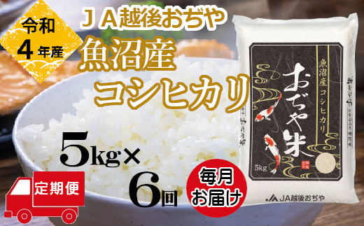 r05-056-004JA 【令和4年産】魚沼産コシヒカリ定期便 5kg×6回（毎月お届け）（定期便）（JA越後おぢや）白米 魚沼 米 定期便