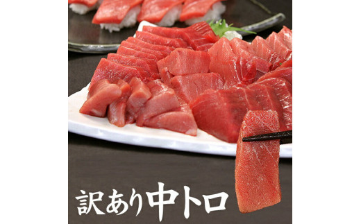 143 本マグロ訳あり中トロ1kg 解凍レシピ付 本マグロのトロ食べ放題!