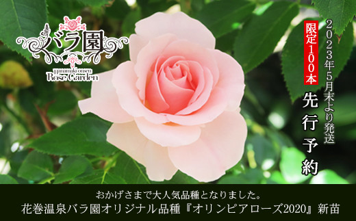 ふるさと納税 高成園 季節の切り花 ひまわり [0158]【2023年6月
