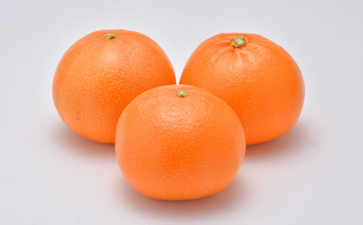 デコポンおよび熊本県産季節の柑橘（清見）約3kg