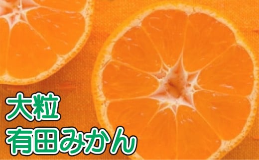 【果汁たっぷり】迫力満点！ 大粒 有田みかん 4.5kg【2023年11月中旬～2024年1月中旬頃次発送予定】