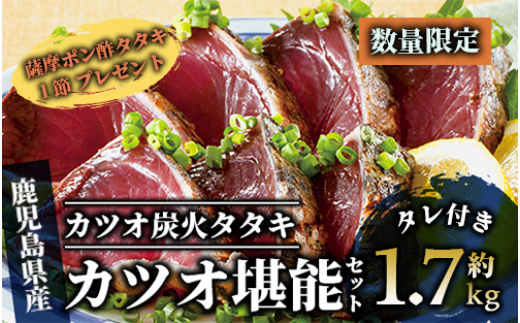 数量限定】指宿 カツオ堪能セット 薩摩プレミアム(指宿食品/010-041