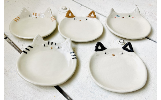猫皿 スモールレギュラーサイズ 5枚セット【716】_KA0979 473225 - 福岡県宗像市