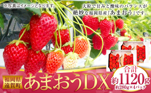 あまおうDX 約280g×4パック あまおう いちご イチゴ 苺 果物 くだもの フルーツ【2025年2月上旬～4月上旬発送予定】