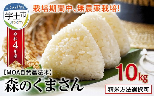 70-246-2 カワノ農園 令和4年産米 無農薬栽培!MOA自然農法米「森のくまさん」 七分搗き米10kg 433471 - 熊本県宇土市