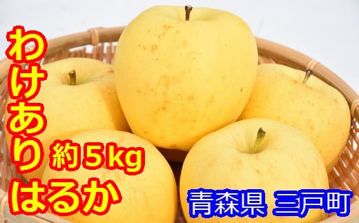 青森県三戸町のふるさと納税 【訳あり】高級りんご「はるか」12～20玉（約5kg）【2024年産・先行予約】