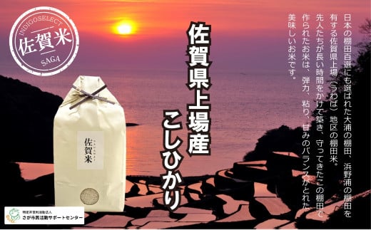 佐賀県上場産こしひかり4kg - 佐賀県NPO支援｜ふるさとチョイス - ふるさと納税サイト