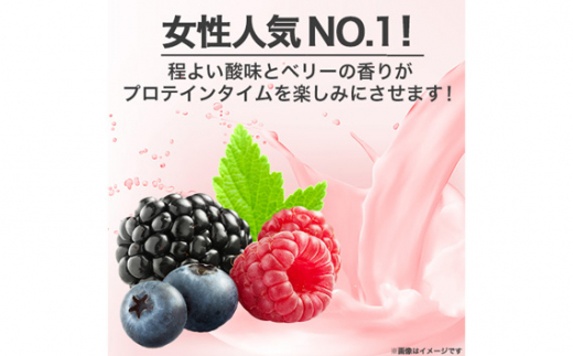 No.730-01 ビーレジェンドプロテイン ベリベリベリー風味 1kg ／ 栄養