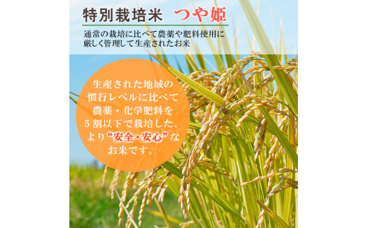定期便6回】令和5年産米☆発送開始月が選べる☆山形産 特別栽培米 つや