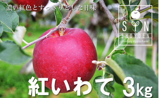 【先行予約】松陽園の樹上完熟りんご「紅いわて」3kg【2022年10月上旬～発送】