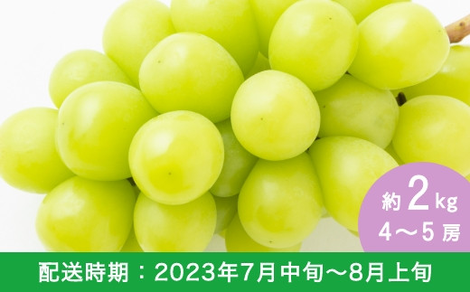 E150-02 上村農園 《加温ハウス》シャインマスカット4~5房 (約2kg)
