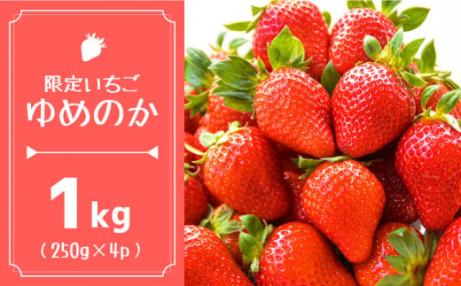 【2025年1月〜発送】【限定 いちご】 ゆめのか  1kg（250g×4p）イチゴ 苺 フルーツ 南島原市 / 長崎県農産品流通合同会社 [SCB040] 464504 - 長崎県南島原市