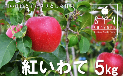 【先行予約】松陽園の樹上完熟りんご「紅いわて」5kg【2022年10月上旬～発送】