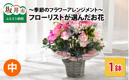 〜季節のフラワーアレンジメント〜 フローリストが選んだお花をお届け(中サイズ) [A-12002]