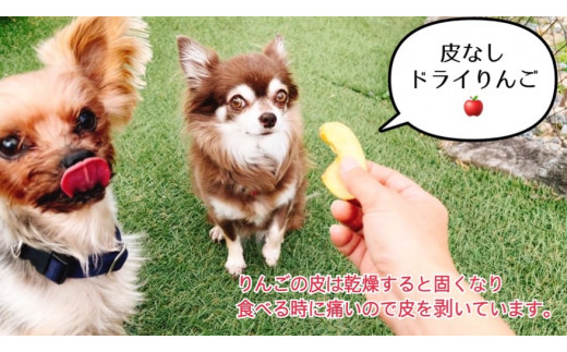 FB149 【10月～5月末まで順次発送】犬の無添加おやつ☆お砂糖不使用