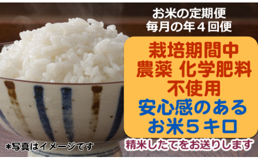 栽培期間中農薬・化学肥料(窒素成分)不使用のお米定期便(年4回の定期便)