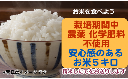 栽培期間中農薬・化学肥料(窒素成分)不使用のお米