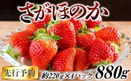 佐賀県産さがほのか880g(220g×4P)CO0020