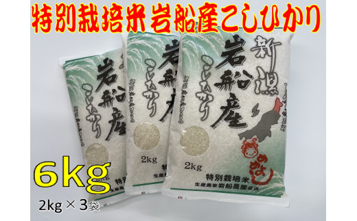 A4102 【令和4年産米】特別栽培米  新潟県岩船産コシヒカリ6kg