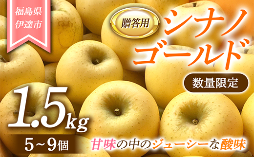 【数量限定】りんご 贈答用 シナノゴールド1.5kg（5～9個） リンゴ 林檎 フルーツ 果物 F20C-625 471108 - 福島県伊達市