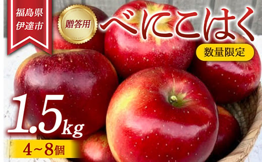 【数量限定】りんご 贈答用 べにこはく1.5kg（4～8個） リンゴ 林檎 フルーツ 果物 F20C-627 471110 - 福島県伊達市
