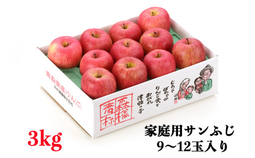家庭用りんご サンふじ 3kg (9~12玉入り 3kg 1箱) ~見た目にわけあり