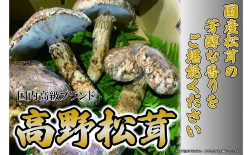 【和歌山産】～香りそのまま真空パック～高級・希少 高野松茸　300g(極：★★★)【松茸 高野松茸 まつたけ 国産 和歌山県産 高級 松茸ごはん  秋の味覚 橋本市 Q012-NT】