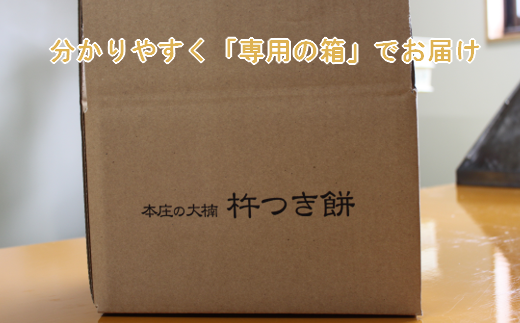 お歳暮対象】【順次発送】築上町産 本格 杵つき 生もち 60個 (10個×6