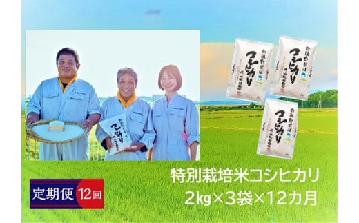 D22【令和４年産】（定期便）特別栽培米コシヒカリ　２㎏×３袋×12か月