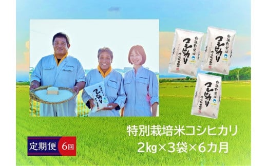 D14【令和４年産】（定期便）特別栽培米コシヒカリ　２㎏×３袋×６か月