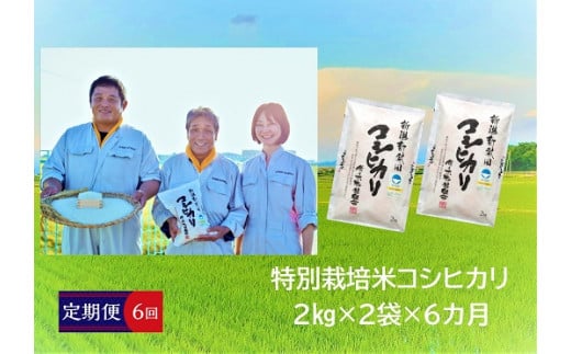 D19【令和４年産】（定期便）特別栽培米コシヒカリ　２㎏×2袋×６か月